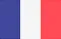 Vertical tricolor flag of France: blue on the left, white in the middle, red on the right.